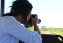 Tierfotografie - Jennifer Heck