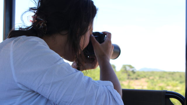 Tierfotografie - Jennifer Heck